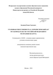 book Уголовная ответственность за террористический акт по законодательству РФ