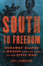 book South to Freedom: Runaway Slaves to Mexico and the Road to the Civil War