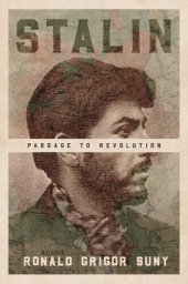 book Stalin: Passage to Revolution