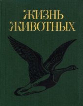 book Жизнь животных. Том шестой. Птицы