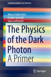 book The Physics of the Dark Photon: A Primer