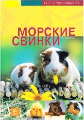 book Морские свинки