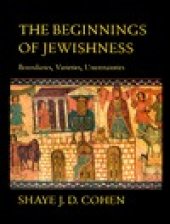 book The beginnings of Jewishness: boundaries, varieties, uncertainties