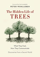 book The Hidden Life of Trees: What They Feel, How They Communicate – Discoveries from a Secret World: the illustrated edition