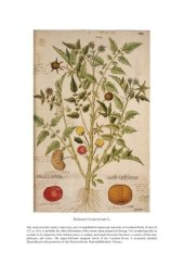 book Taxonomy of Wild Tomatoes and their Relatives (Solanum sect. Lycopersicoides, sect. Juglandifolia, sect. Lycopersicon; Solanaceae)