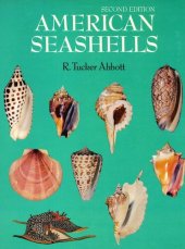 book American Seashells