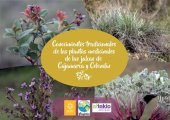 book Conocimientos tradicionales de las plantas medicinales de las jalcas de Cajamarca y Celendín