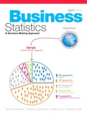 book Business statistics: a decision-making approach