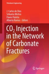 book CO2 Injection in the Network of Carbonate Fractures