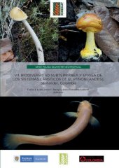 book Biodiversidad subterránea y epigea de los sistemas cársticos de El Peñón (Andes), Santander, Colombia