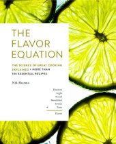 book The Flavor Equation