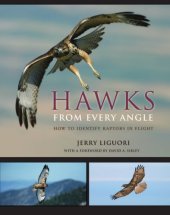 book Hawks from Every Angle: How to Identify Raptors in Flight