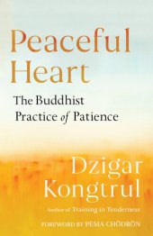 book Peaceful Heart: The Buddhist Practice of Patience