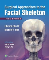 book Surgical Approaches to the Facial Skeleton