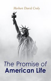 book The Promise of American Life