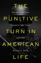 book The Punitive Turn in American Life: How the United States Learned to Fight Crime Like a War