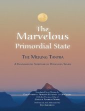 book The Marvelous Primordial State The Mejung Tantra