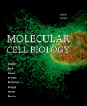 book Molecular Cell Biology