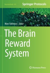 book The Brain Reward System