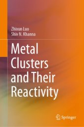 book Metal Clusters and Their Reactivity