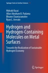 book Hydrogen and Hydrogen-Containing Molecules on Metal Surfaces: Towards the Realization of Sustainable Hydrogen Economy