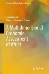 book A Multidimensional Economic Assessment of Africa