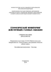 book Геофизический мониторинг действующих газовых скважин