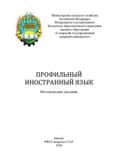 book Профильный иностранный язык : методические указания