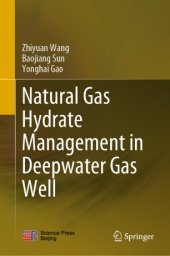 book Natural Gas Hydrate Management in Deepwater Gas Well