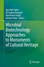 book Microbial Biotechnology Approaches to Monuments of Cultural Heritage