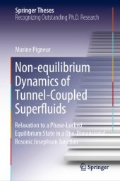 book Non-equilibrium Dynamics of Tunnel-Coupled Superfluids: Relaxation to a Phase-Locked Equilibrium State in a One-Dimensional Bosonic Josephson Junction