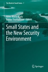 book Small States and the New Security Environment