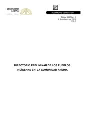 book Directorio preliminar de los pueblos indígenas en la Comunidad Andina