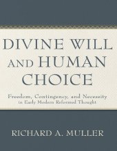 book Divine Will and Human Choice