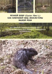 book Речной бобр (Castor fiber L.) как ключевой вид экосистемы малой реки: European beaver (Castor fiber L.) as key species of a small river ecosystem : (на примере Приокско-Террасного государственного биосферного природного заповедника)