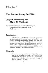 book Nucleic Acids