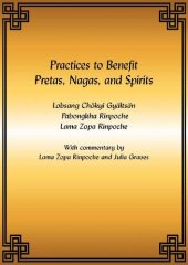 book Practices to Benefit Pretas, Nagas and Spirits