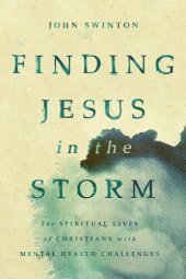 book Finding Jesus in the Storm