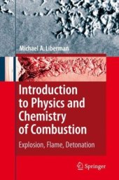 book Introduction to Physics and Chemistry of Combustion: Explosion, Flame, Detonation