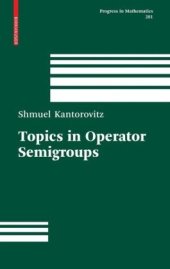 book Topics in operator semigroups