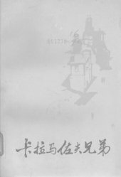 book 卡拉马佐夫兄弟（共两册）（统一书号：10019-3136）