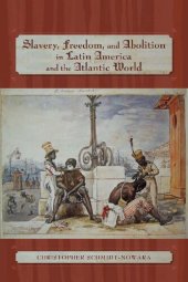 book Slavery, Freedom, and Abolition in Latin America and the Atlantic World