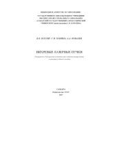 book Вихревые лазерные пучки