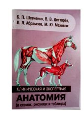 book Клиническая и экспертная анатомия