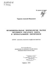 book Функциональная морфология матки крупного рогатого скота в пренатальном онтогенезе