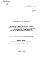 book Функциональная морфология слизистой оболочки тонкой кишки телок черно-пестрой породы на этапе полового созревания