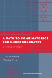 book A Path to Combinatorics for Undergraduates: Counting Strategies