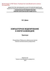 book Компьютерное моделирование в нефтегазовом деле. Практикум