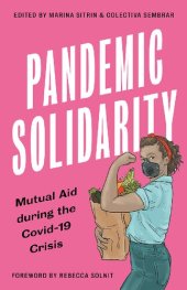 book Pandemic Solidarity: Mutual Aid During the Covid-19 Crisis