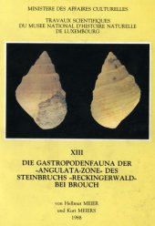 book Die Gastropodenfauna der “Angulata-Zone” des steinbuchs “Reckingerwald” bei Brough